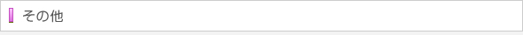 その他