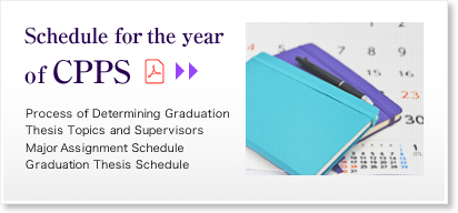 Schedule for the year of CPPS