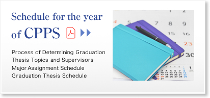 Schedule for the year of CPPS