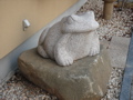 DSC00574.JPG