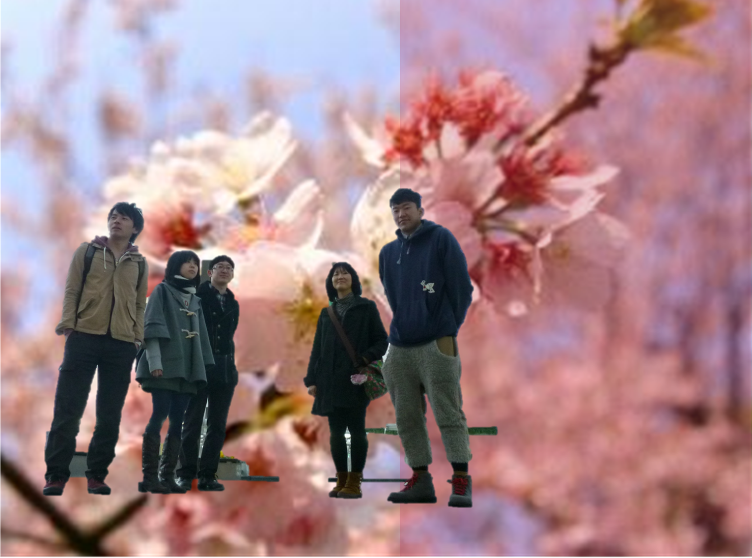メインイメージ　推奨サイズW800×280px