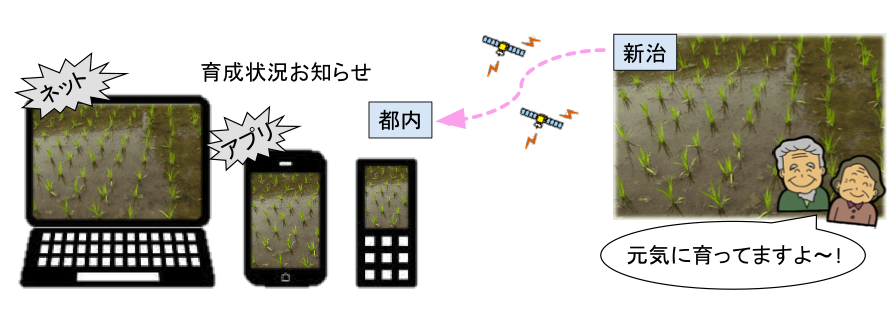 サンプル