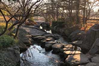 霞ヶ浦総合運動公園