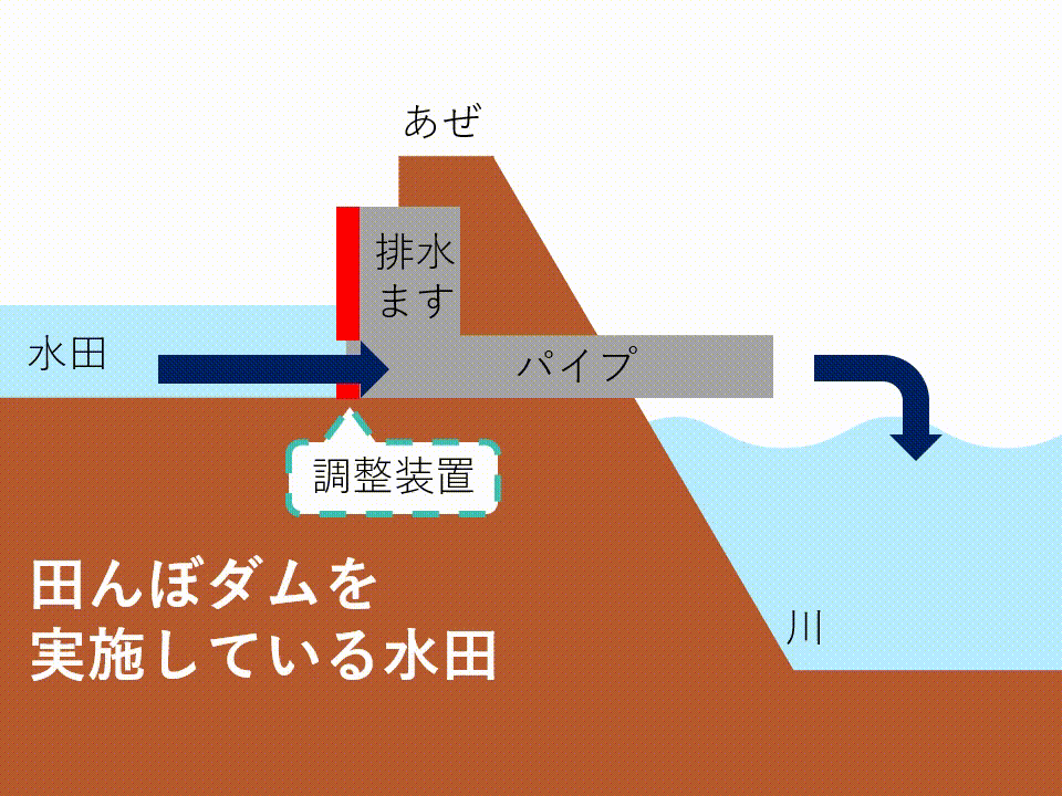 田んぼダムのイメージ2