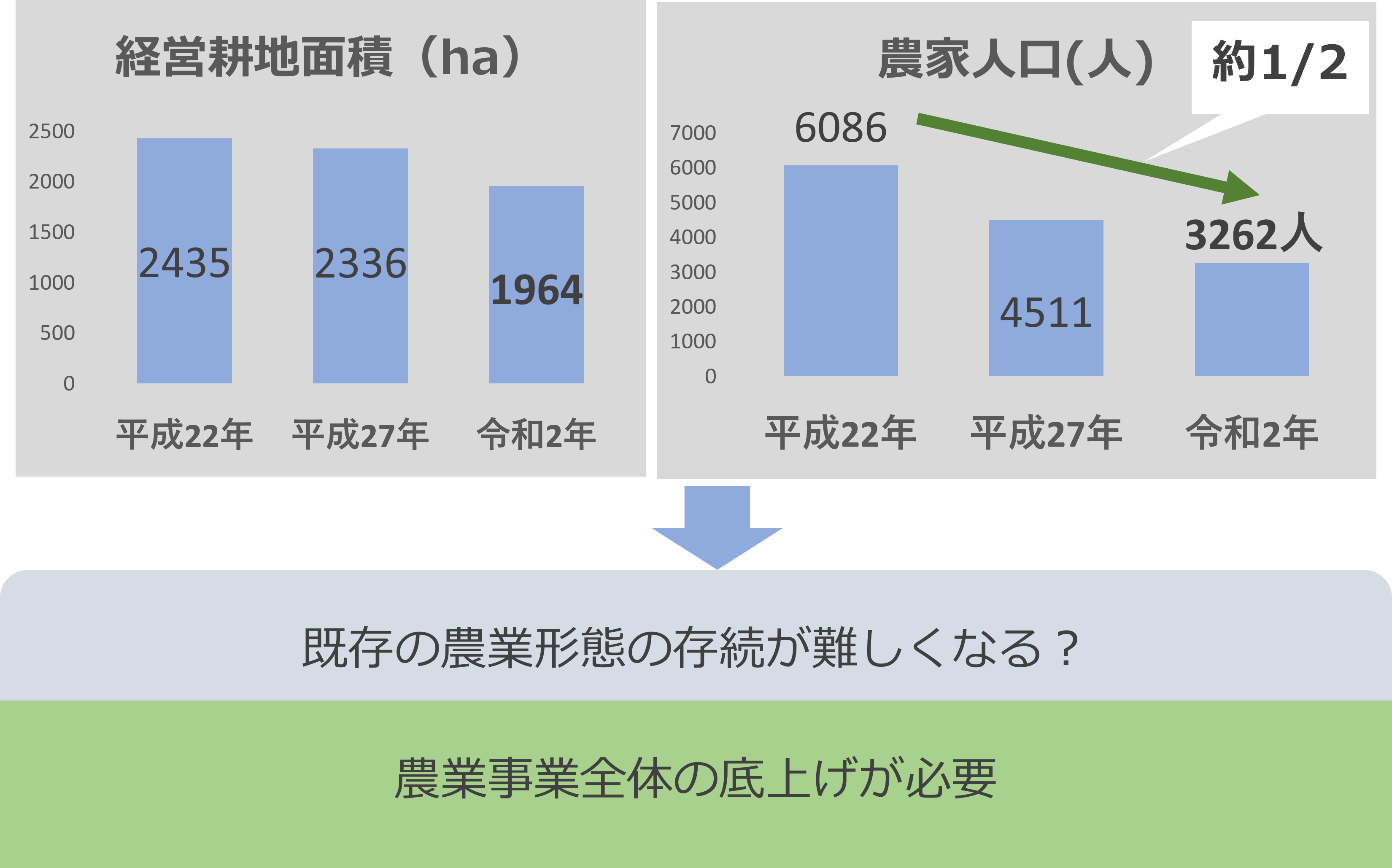 農業背景
