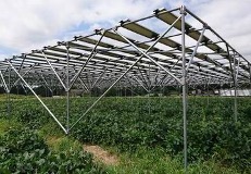 営農型太陽光発電の様子
