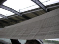 PICT0100