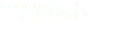 実習の流れ 